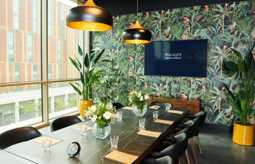 green meeting room, plasma screen, window view, meetings