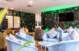 chairs, lobby area, rainforest walls