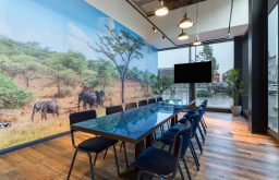 safari painted wall, TV screen, view of the outside
