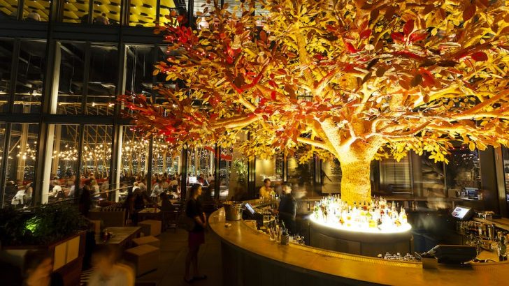 artificial tree in the centre of the bar, restaurant, Christmas party venue, Heron Tower London